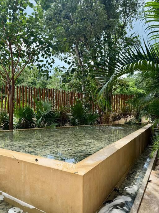 Hermoso Estudio Con Jacuzzi Privado En Ir26 Apartment Tulum